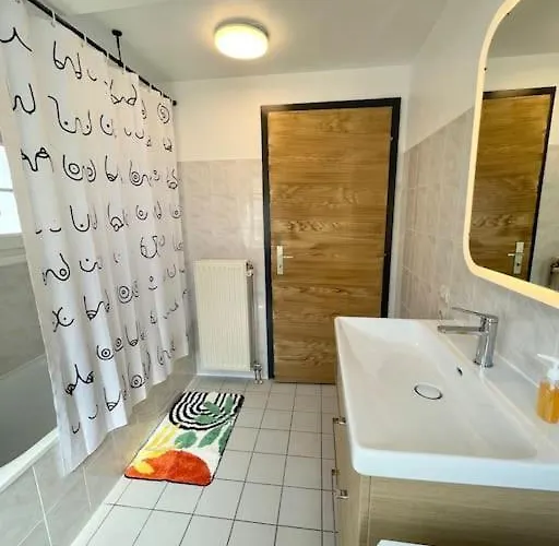 Apartman Cosy Au Centre-ville Avec Garage